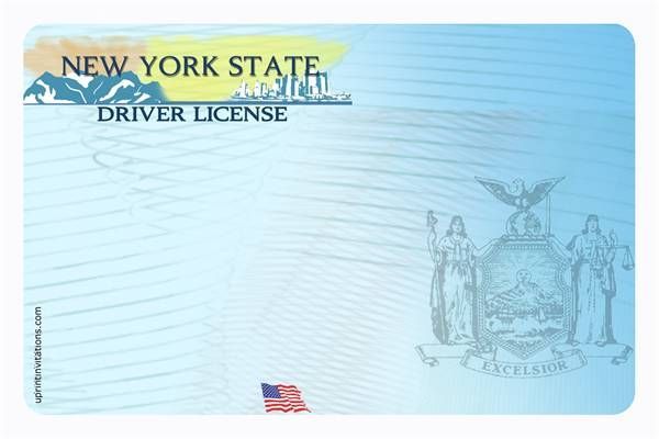 blank driver license template photoshop